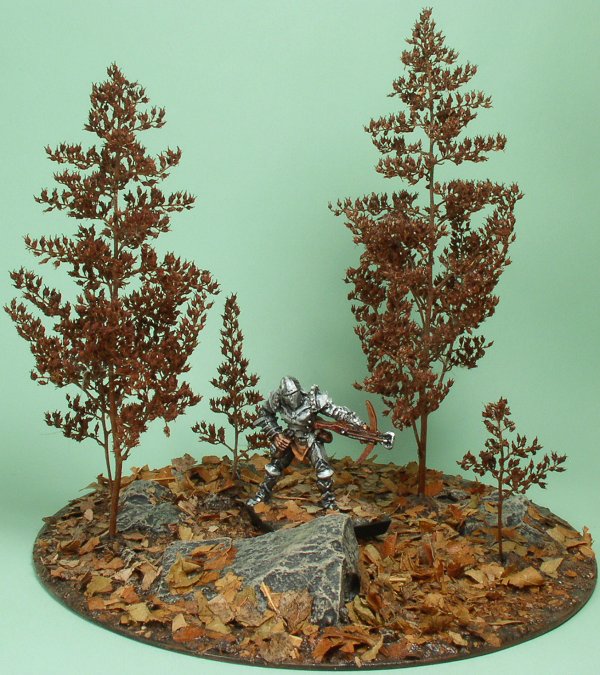 Autumn grove